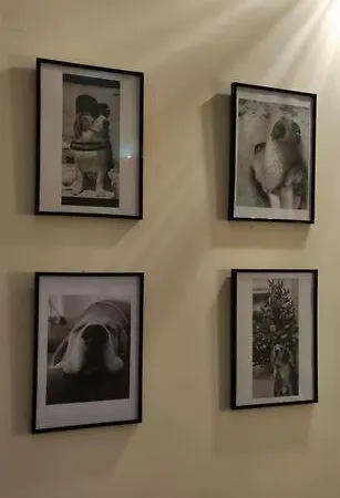 La Patte Charentaise Parking Gratuit Le Calme En