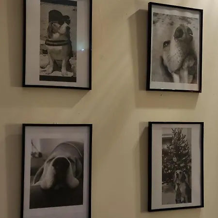 La Patte Charentaise Parking Gratuit Le Calme En 度假居 *