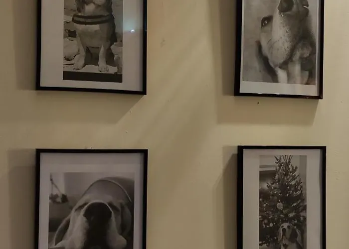 La Patte Charentaise Parking Gratuit Le Calme En Сasa de vacaciones *